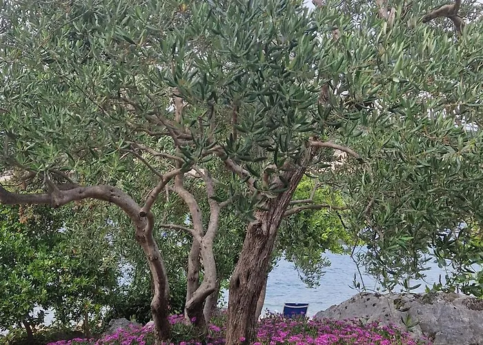 아파트 By The Sea Zuronja, Peljesac - 13202